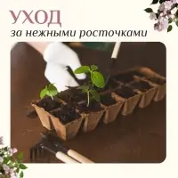 Набор садового инструмента для комнатных растений, 3 предмета: грабли, 2 лопатки, длина 24 см, деревянные ручки, Greengo