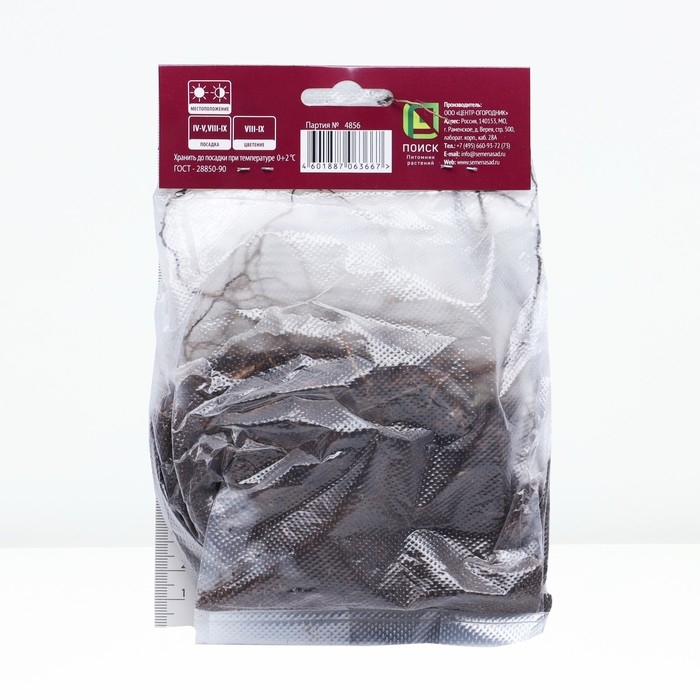 Астра кустарниковая «Кристина», корневище в торфогрунте, р-р I, 1 шт. Астра кустарниковая «Кристина», корневище в торфогрунте, р-р I, 1 шт.