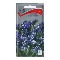 Набор семян Статица "Суприм голубая", 5 шт. Набор семян Статица "Суприм голубая", 5 шт.