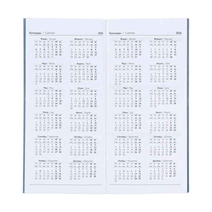 Еженедельник датированный 2025 года, 80х165 мм, 64 листа ESCALADA, мягкая обложка из искусственной кожи, блинтовое тиснение, блок 70 г/м², голубой Еженедельник датированный 2025 года, 80х165 мм, 64 листа ESCALADA, мягкая обложка из искусственной кожи, блинтовое тиснение, блок 70 г/м², голубой