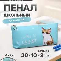 Пенал школьный на молнии Calligrata &laquo;Котик&raquo;, 1 отделение, плоский, МИКС