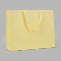 Пакет подарочный, ламинированный, горизонтальный, &laquo;Молочный&raquo;, 40&times;32&times;13