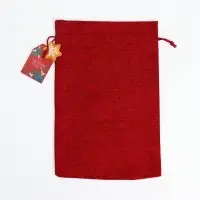 Набор мешков «С Новым годом!», 20 × 30 см