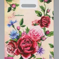 Пакет "Ренессанс, полиэтиленовый с вырубной ручкой 30х40 см, 60 мкм