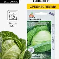 Семена Капуста белокочанная &laquo;Пандион&raquo;, F1, 10 шт., &laquo;Агрос&raquo;