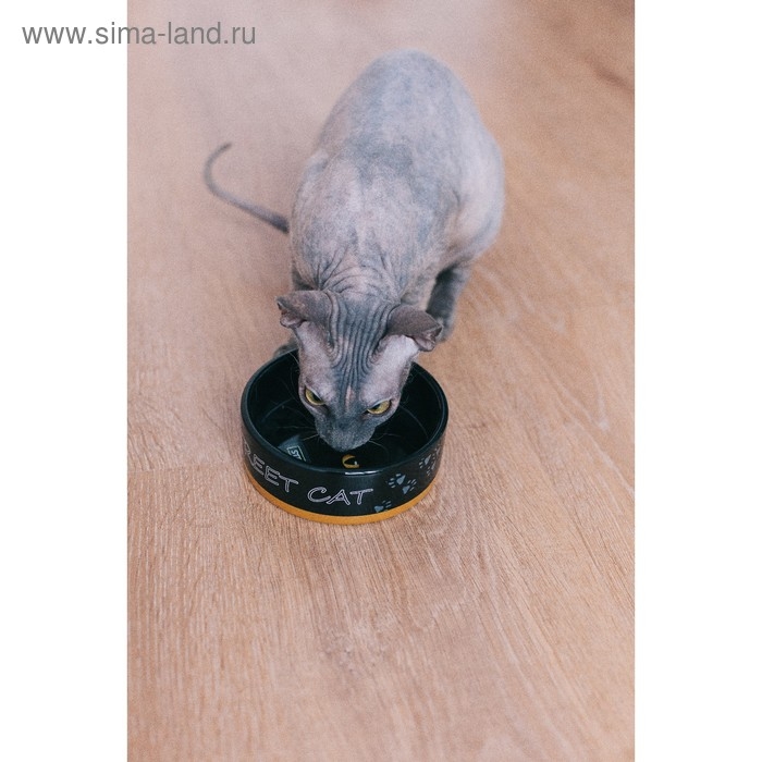 Миска керамическая  Миска керамическая "Черный кот" 300 мл  12,5 х 4,5 см, черная