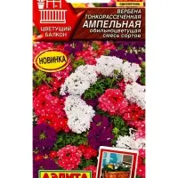 Семена цветов Вербена Ампельная обильноцветущая, смесь сортов Цветущий балкон, Ц/П,30 шт. Семена цветов Вербена Ампельная обильноцветущая, смесь сортов Цветущий балкон, Ц/П,30 шт.