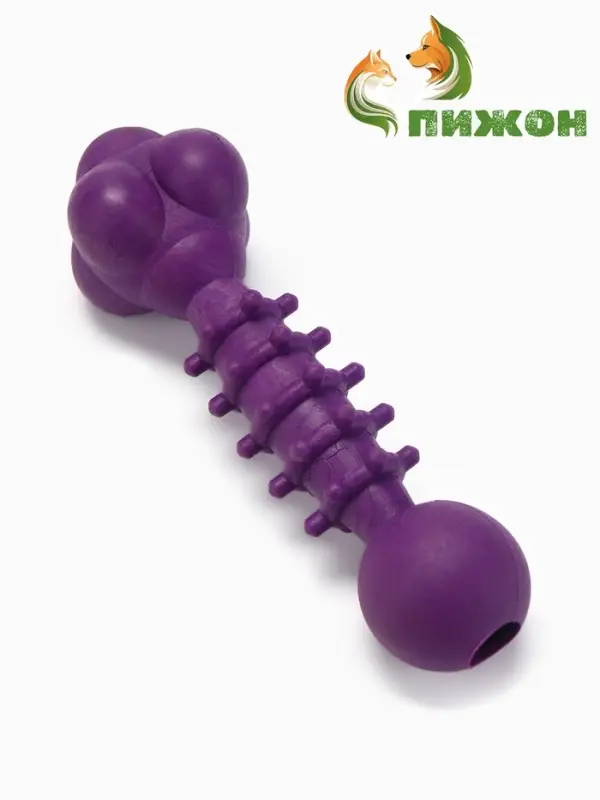 Жевательная игрушка для собак &laquo;Спортсмен&raquo;, 15.5 см, TPR, фиолетовая