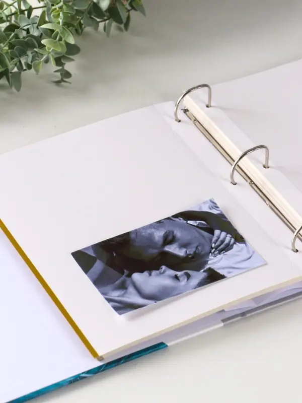 Фотоальбом 50 магнитных листов "Бабочка на зелёном листе" 23X28см, пер-т 3-кольца