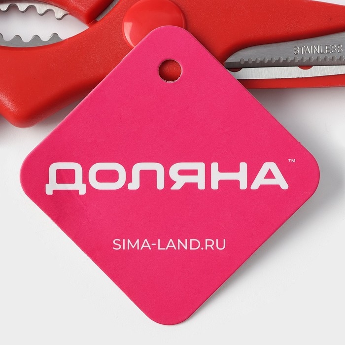Ножницы кухонные Доляна «Вега», 20 см, цвет МИКС Ножницы кухонные Доляна «Вега», 20 см, цвет МИКС