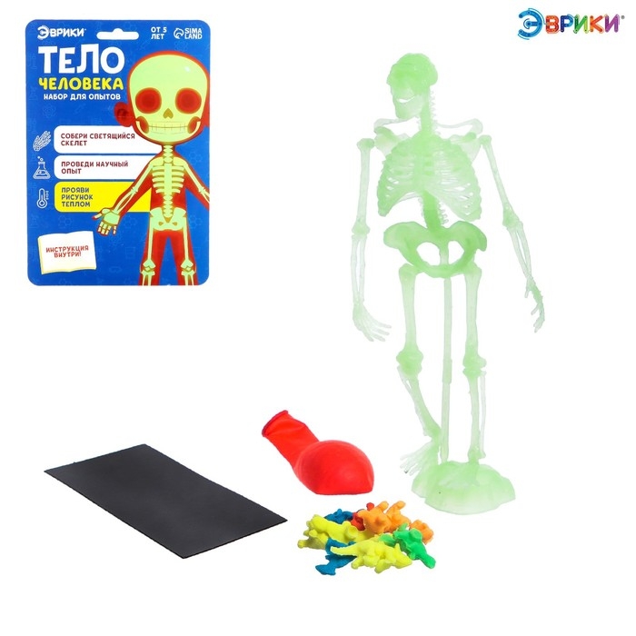 Набор для опытов «Тело человека», светится в темноте Набор для опытов «Тело человека», светится в темноте