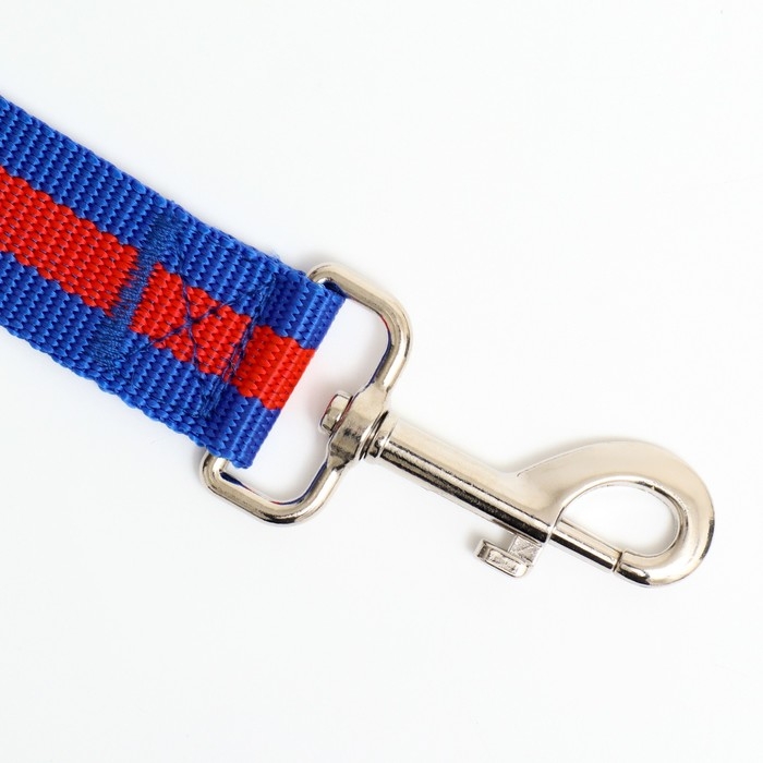 Поводок 3 м х 3 см, сине-красный Поводок 3 м х 3 см, сине-красный