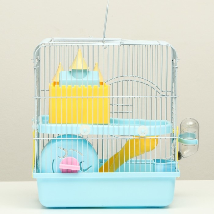 Клетка для грызунов Клетка для грызунов "Пижон", укомплектованная с замком, 27 х 21 х 31 см, голубая