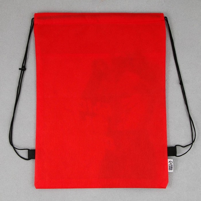 Мешок для обуви «Быстрее, выше, сильнее!» нетканное полотно, размер 30 х 40 см Мешок для обуви «Быстрее, выше, сильнее!» нетканное полотно, размер 30 х 40 см