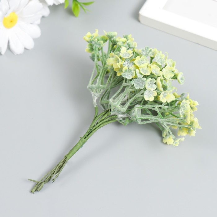 Декор для творчества Декор для творчества "Соцветие - Пилея стелющаяся" 1 букет= 6 веточек зелёный 10 см