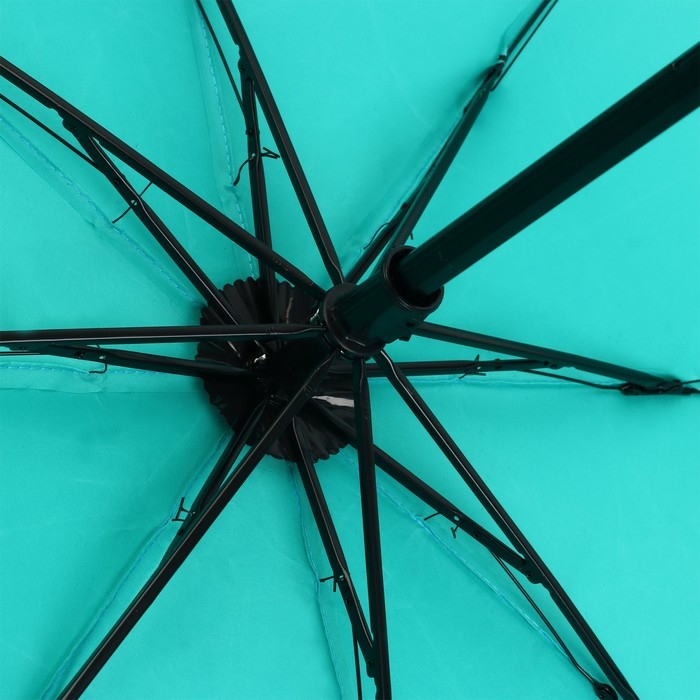 Зонт женский механический «Цветы», 8 спиц, d=95, цвет бирюзовый Зонт женский механический «Цветы», 8 спиц, d=95, цвет бирюзовый