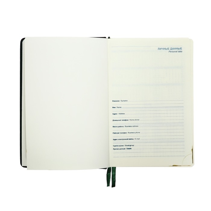 Ежедневник датированный 2025 года, A5, 168 листов в линейку, кожзам  Ежедневник датированный 2025 года, A5, 168 листов в линейку, кожзам "Небраска", золотой срез, зеленый