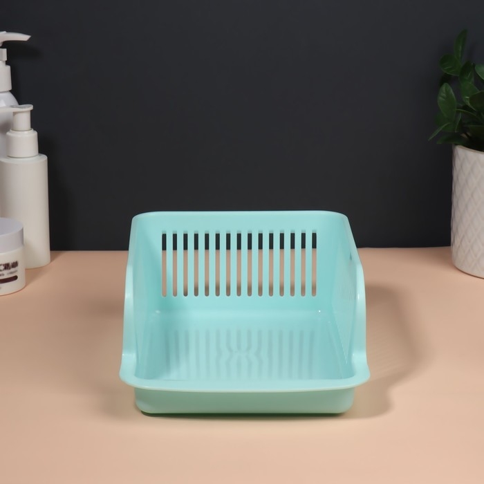 Органайзер для хранения косметических принадлежностей &laquo;Prestige&raquo;, 2 секции, 23 &times; 16,1 см, цвет мятный