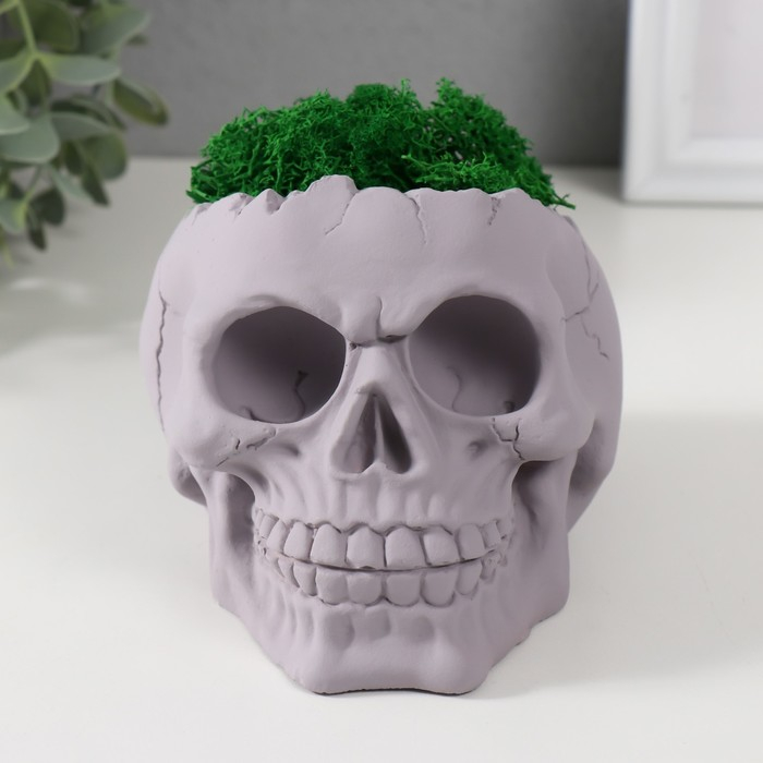 Кашпо бетонное Кашпо бетонное "Череп" высота 10 см серое со мхом (мох зеленый стабилизированный)