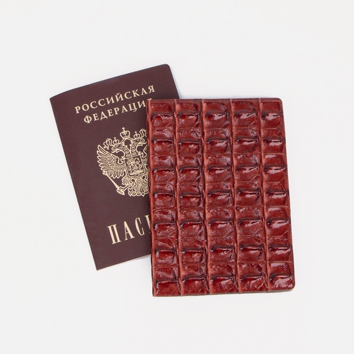Обложка для паспорта, цвет красный Обложка для паспорта, цвет красный