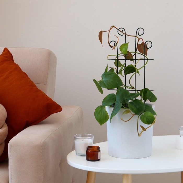 Шпалера, 40 × 18 × 0.3 см, металл, зелёная, «Узорная» Шпалера, 40 × 18 × 0.3 см, металл, зелёная, «Узорная»