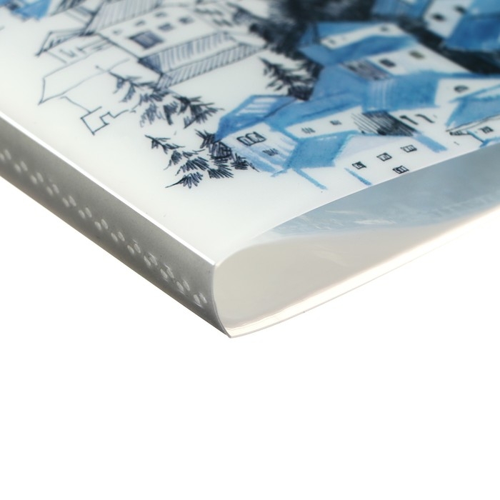 Папка формат А4, с 60 прозрачными файлами Папка формат А4, с 60 прозрачными файлами "Город", МИКС