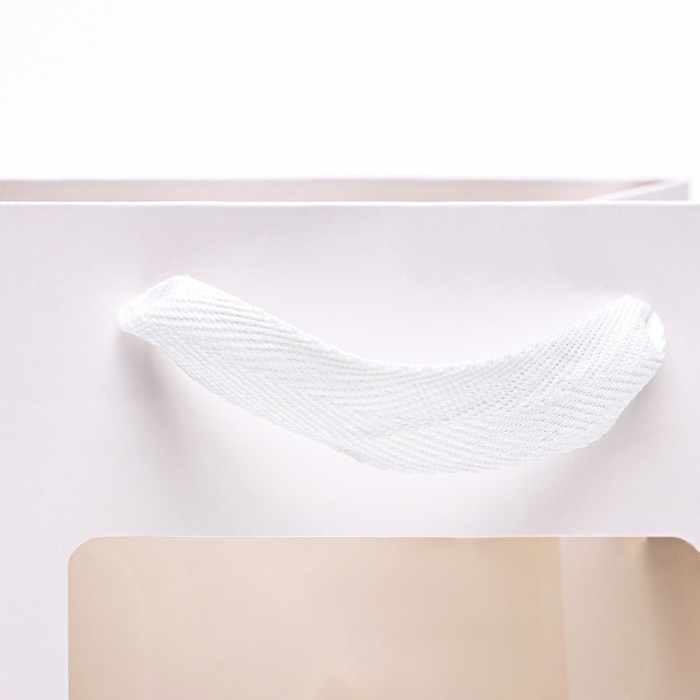 Пакет подарочный, с окном, 20 х 15 х 10 см, белый Пакет подарочный, с окном, 20 х 15 х 10 см, белый