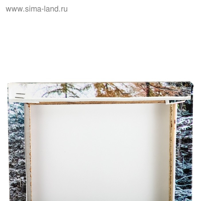 Модульная картина  Модульная картина "Лазурь зимнего озера" (2-25х50, 2-25х67, 25х80 см) 80х140 см