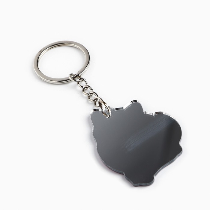 Брелок для ключей зеркало «Ты выглядишь замурчательно», 9 х 4.1 см