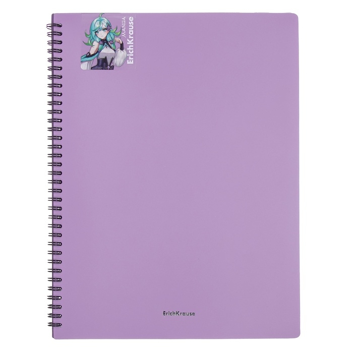 Папка 20 вкладышей на спирали, А4, 600 мкм, ErichKrause Папка 20 вкладышей на спирали, А4, 600 мкм, ErichKrause "Matt Manga", текстура "песок", микс