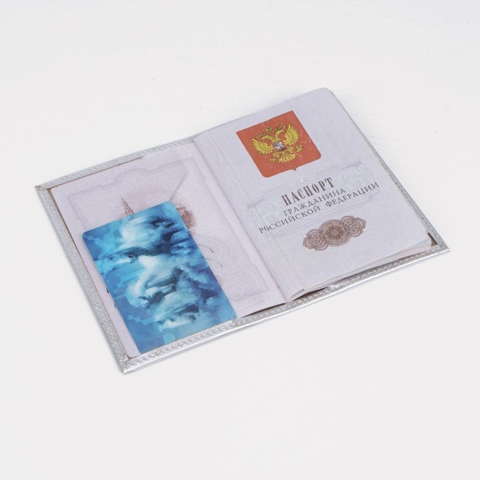 Обложка для паспорта, цвет серебристый Обложка для паспорта, цвет серебристый
