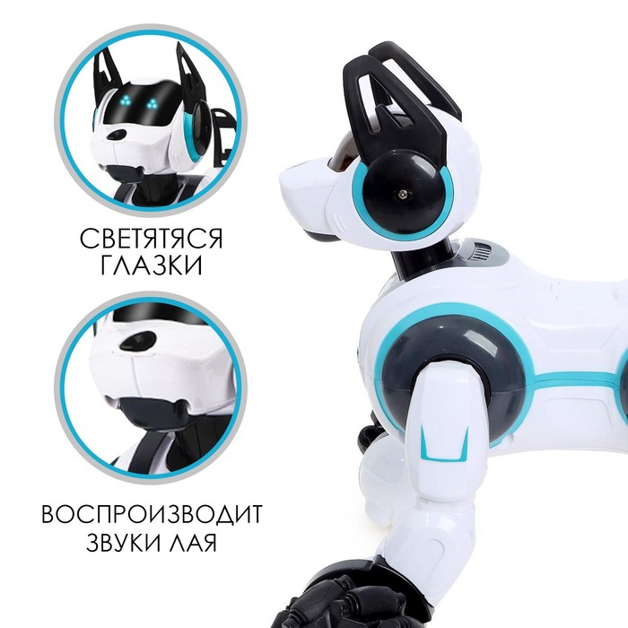 Робот-собака Stunt, на пульте управления, интерактивный, звуковые и световые эффекты, на аккумуляторе, цвет белый Робот-собака Stunt, на пульте управления, интерактивный, звуковые и световые эффекты, на аккумуляторе, цвет белый