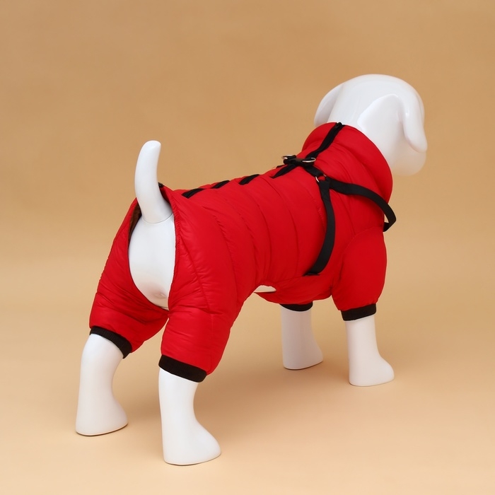 Комбинезон для собак со шлейкой Комбинезон для собак со шлейкой "Моден", размер 16 (ДС 36, ОГ 46, ОШ 35 см), красный
