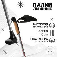 Палки лыжные алюминиевые Gekars Expert Plus, длина 115 см