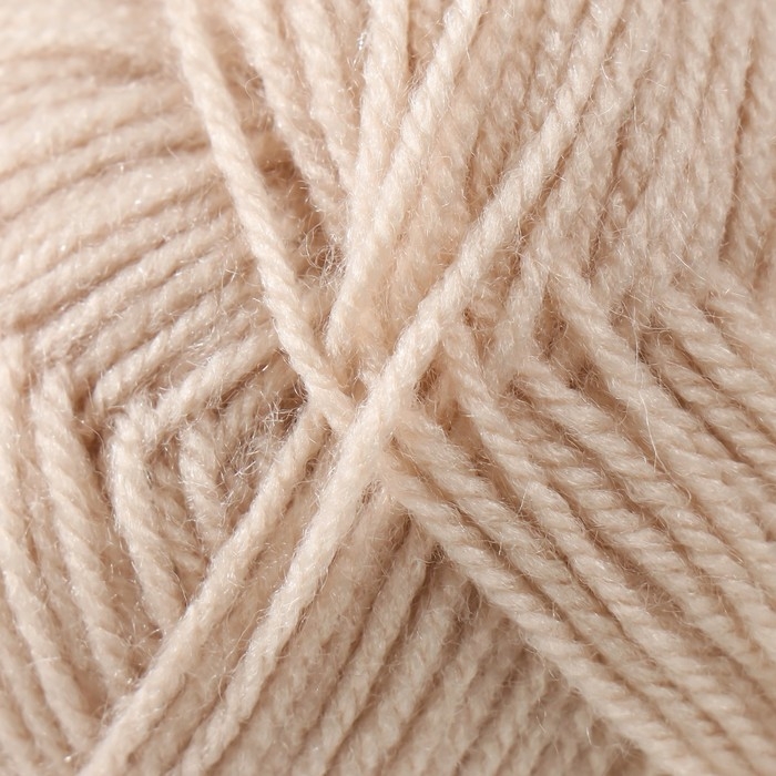 Пряжа Пряжа "Детская новинка" 100% акрил 200м/50гр (89-Фрез)