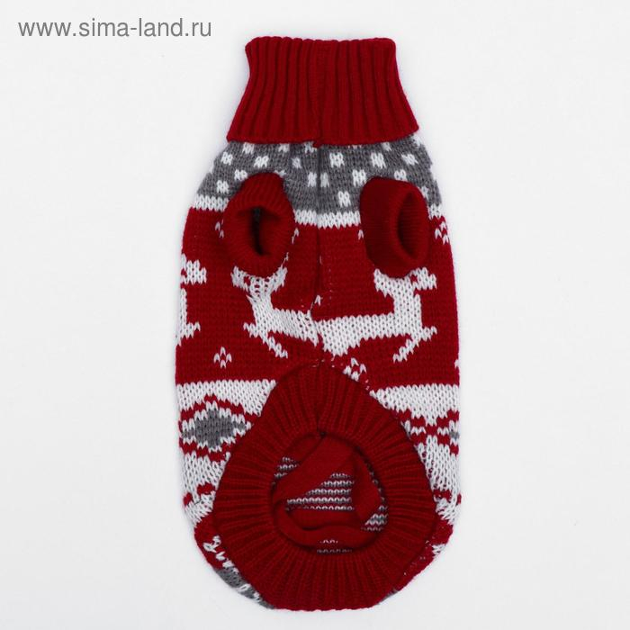 Свитер, размер 10 (ДС 30-45, ОШ 16-31, ОГ 30-45 см), микс расцветок Свитер, размер 10 (ДС 30-45, ОШ 16-31, ОГ 30-45 см), микс расцветок