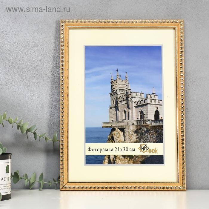 Фоторамка пластик 118-2159-4 21х30 см Фоторамка пластик 118-2159-4 21х30 см