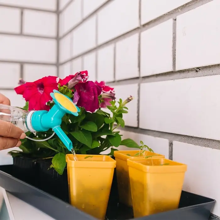 Насадка-рассеиватель на бутылку, цвет МИКС, Greengo