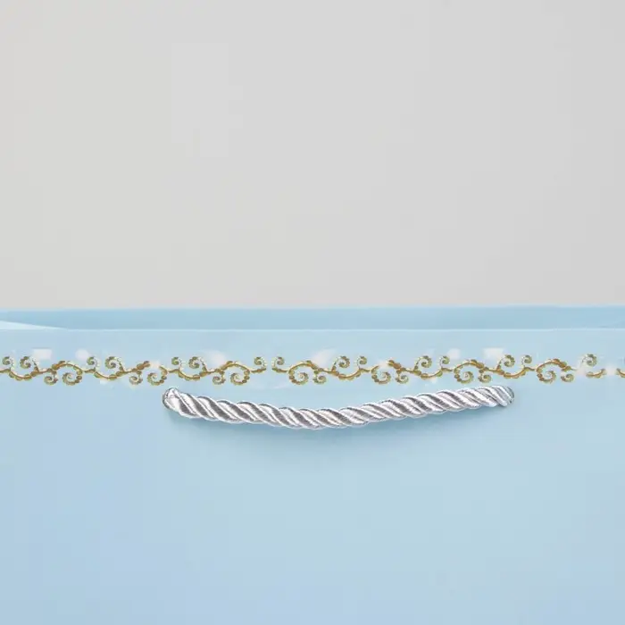 Пакет подарочный, упаковка, «Прекрасный принц», 26 х 21 х 11 см Пакет подарочный, упаковка, «Прекрасный принц», 26 х 21 х 11 см