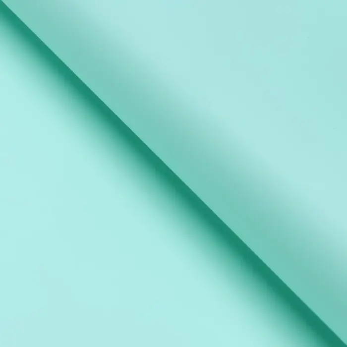 Пленка для цветов, матовая, тиффани, 57×57 см, 55 мкм Пленка для цветов, матовая, тиффани, 57×57 см, 55 мкм