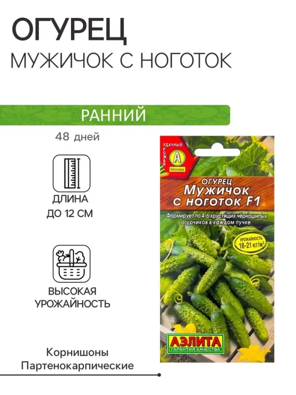 Семена Огурец Семена Огурец "Мужичок с ноготок" F1, среднеранний, партенокарпический, 10 шт