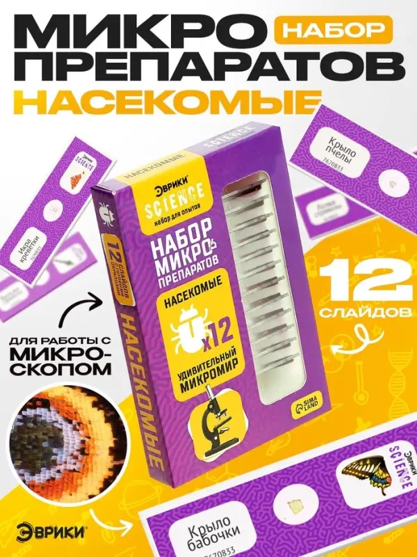 Набор для опытов &laquo;Набор микропрепаратов&raquo;, насекомые