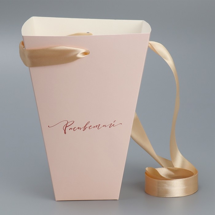 Переноска для цветов на лентах «Расцветай», 17 х 25 х 9 см Переноска для цветов на лентах «Расцветай», 17 х 25 х 9 см