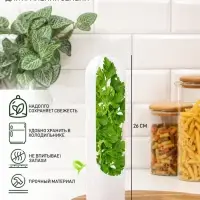 Контейнер для хранения зелени Доляна Fresh, пластик, 500 мл, белый