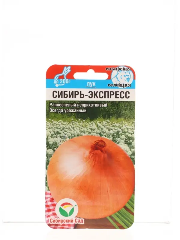 Семена Лук репчатый Сибирь-Экспресс 1г