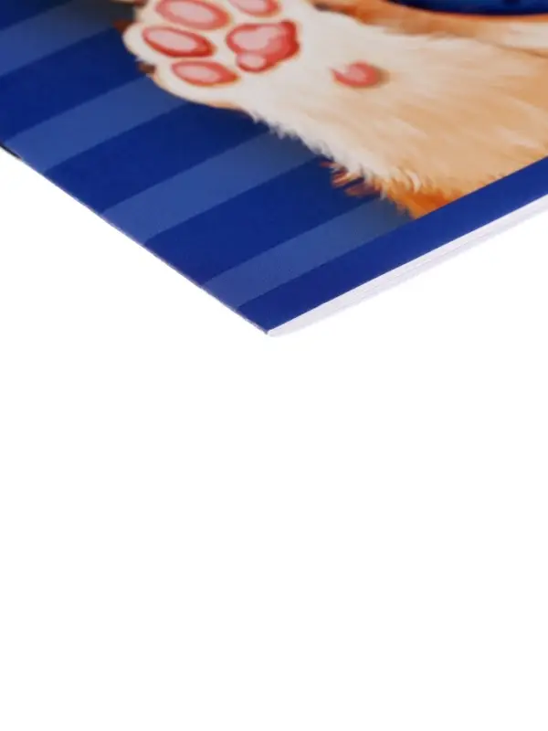 Альбом для рисования Calligrata А4, 8 листов, на скрепке, МИКС