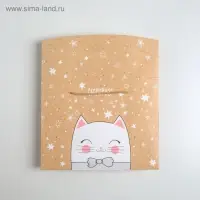 Пакет&mdash;коробка &laquo;Сюрприз!&raquo;, 23&times;18&times;11 см