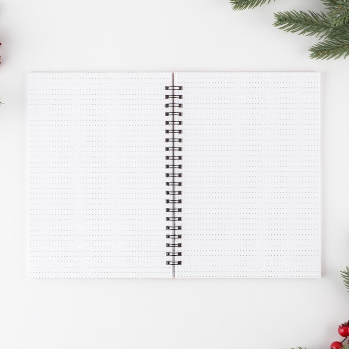 Новый год. Ежедневник в подарочной коробке «Хозяину жизни», А5, 60 листов, на гребне Новый год. Ежедневник в подарочной коробке «Хозяину жизни», А5, 60 листов, на гребне