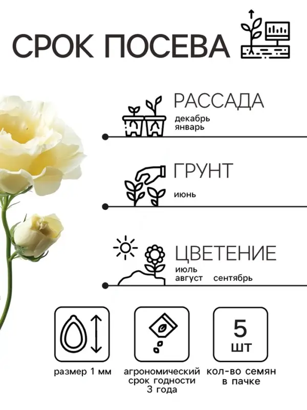 Семена цветов Эустома &laquo;Эйбиси&raquo;, F1, зелёная крупноцветковая махровая, 5 шт., однолетник, &laquo;Аэлита&raquo; селекция PanAmerican Seed