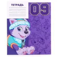 Тетрадь в косую линейку 12 листов, 5 видов МИКС, обложка мелованный картон, «Щенячий патруль»
